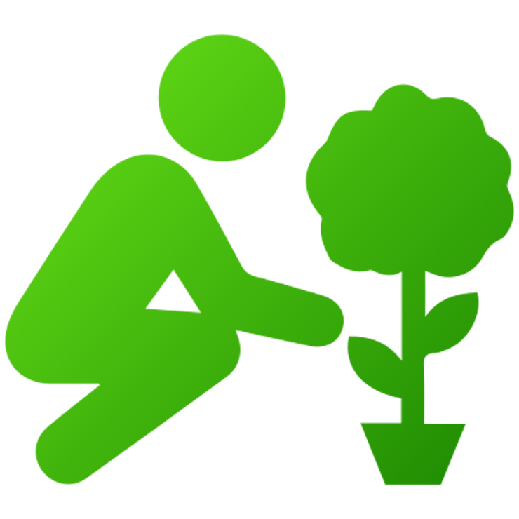 Plantation